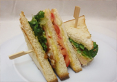 panini image